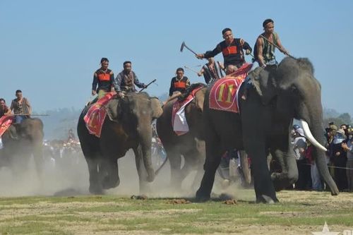 Biển - rừng hội tụ, Đắk Lắk mở hướng du lịch xanh, bền vững