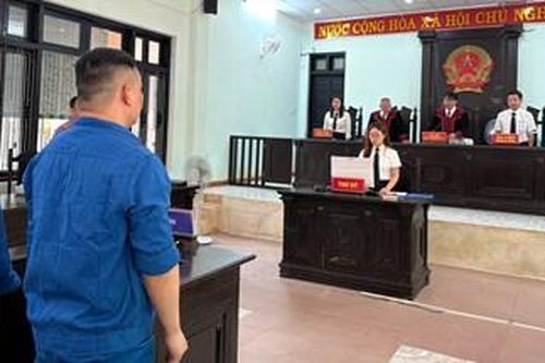 Vẽ dự án 'ma', rao bán đất nông nghiệp, cặp đôi lĩnh án nghiêm khắc