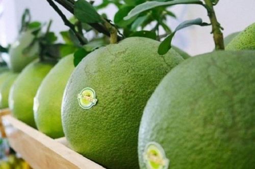 Ký Nghị định thư bưởi, chanh sang Trung Quốc