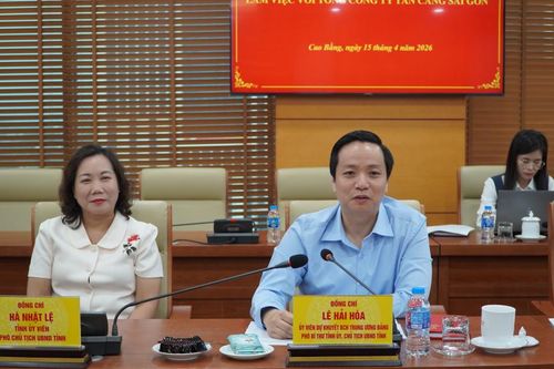 Chủ tịch UBND tỉnh Lê Hải Hòa làm việc với Tổng Công ty Tân Cảng Sài Gòn về phát triển du lịch