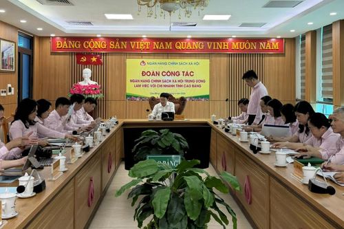 Đoàn công tác Ngân hàng Chính sách xã hội Trung ương làm việc với chi nhánh tỉnh