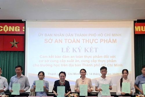 TP.HCM: 317 cơ sở ký cam kết bảo đảm an toàn thực phẩm cho bữa ăn học đường