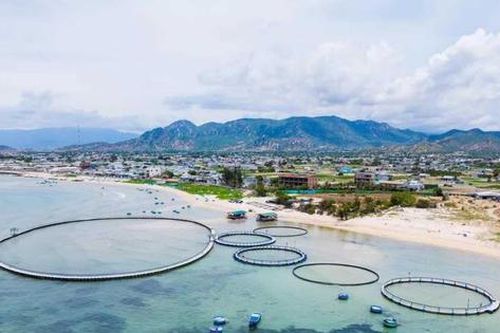 Quảng Ninh: Ứng dụng công nghệ cao vào mô hình nuôi trồng thủy sản