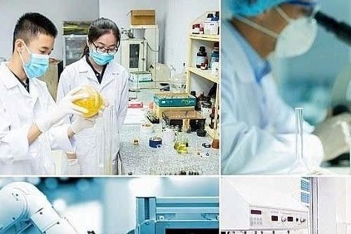 Chuẩn hóa tổ chức, hoạt động Quỹ khoa học, công nghệ và đổi mới sáng tạo từ Trung ương đến địa phương