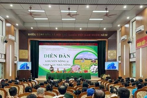 Thư Lâm chuyển hướng phát triển nông nghiệp công nghệ cao, gắn với thị trường