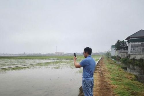 AI dự báo xâm nhập mặn: Hướng đi mới cho nông nghiệp xanh Đồng bằng sông Hồng