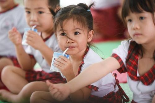 Vai trò của sữa tươi và cách chọn sữa đúng cho lứa tuổi học đường