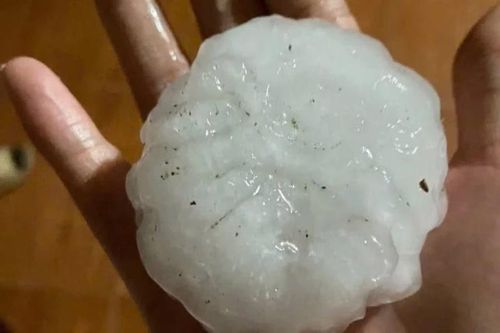 Mưa đá 'to như chén nước' ở Lào Cai có bất thường? Dấu hiệu sắp có mưa đá?