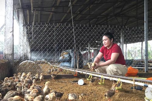Người dân mong tiền hỗ trợ sau thiên tai