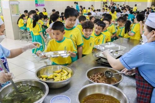 Bài cuối: Hiệu trưởng phải chịu trách nhiệm về bữa ăn học đường