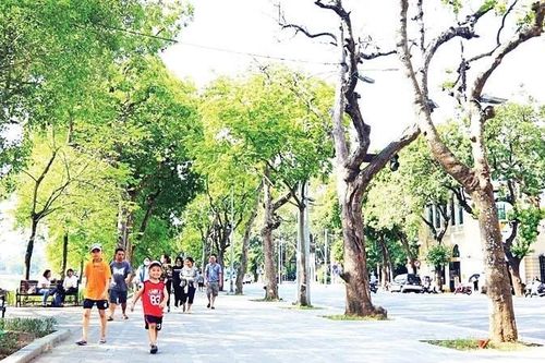 Không gian an toàn, thuận lợi cho người đi bộ