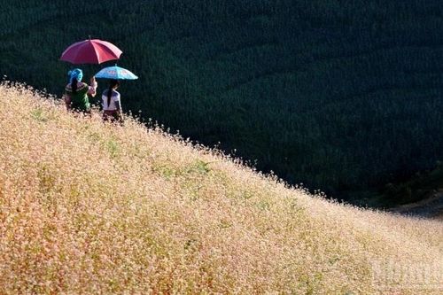 Du lịch Việt Nam tăng trưởng ấn tượng trong quý I: Khẳng định sức hút điểm đến an toàn, hấp dẫn