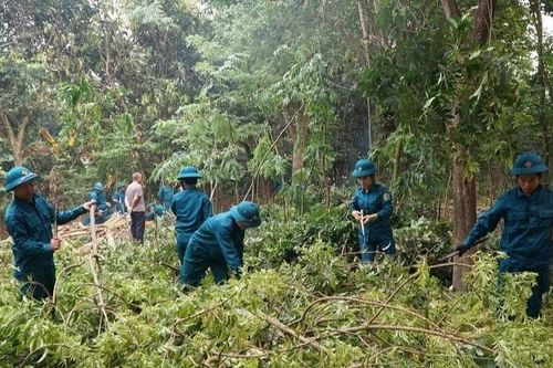 Hàng trăm dân quân, cán bộ, viên chức phường Điện Biên Phủ hỗ trợ nhân dân di chuyển, bàn giao mặt bằng tại dự án trọng điểm