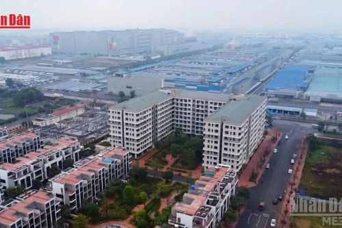 [Video] Cho thuê căn hộ ngắn ngày trong chung cư tại Thành phố Hồ Chí Minh phải đăng ký hoạt động