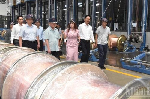 Đồng Tháp nỗ lực đạt mục tiêu tăng trưởng 'hai con số'