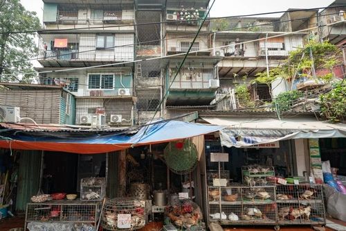 Khu tập thể Thanh Xuân Bắc xuống cấp ra sao trước đề xuất cải tạo?
