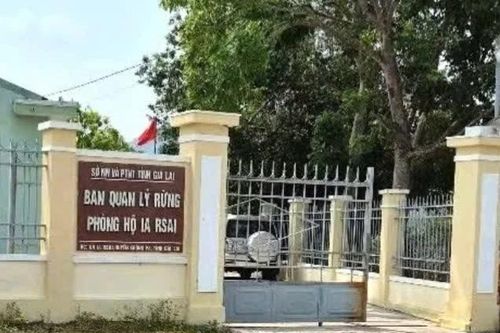 Công an Gia Lai bắt tạm giam một giám đốc ban quản lý rừng phòng hộ