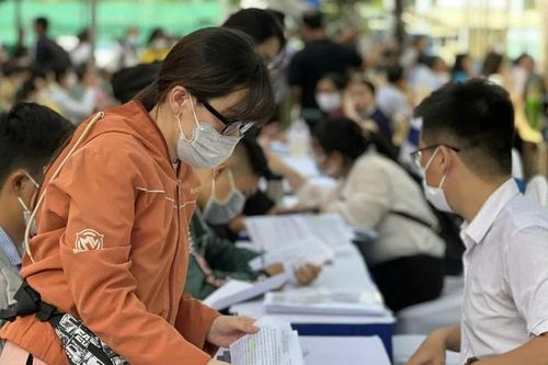 BHXH Hà Nội: Tự ý nghỉ việc sẽ mất trợ cấp thất nghiệp