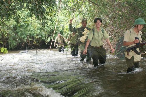 'Cuộc chiến' bảo vệ rừng ươi ở Đồng Nai