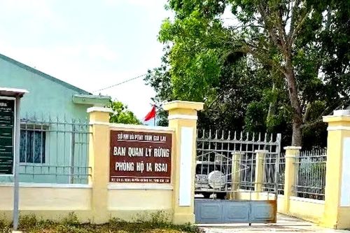 Bắt giám đốc ban quản lý rừng phòng hộ ở Gia Lai