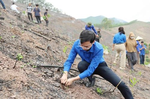 Trao 100.000 cây xanh, thắp hy vọng đổi đời cho thanh niên miền núi
