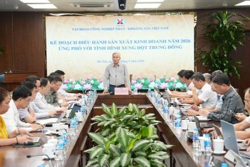 TKV chủ động ứng phó với biến động quốc tế