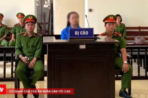 7 năm tù cho bị cáo nhiều lần tổ chức sử dụng trái phép chất ma túy