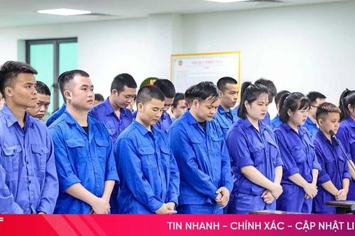 Thấy gì qua phiên tòa xét xử 117 bị cáo trong đường dây tội phạm xuyên biên giới?