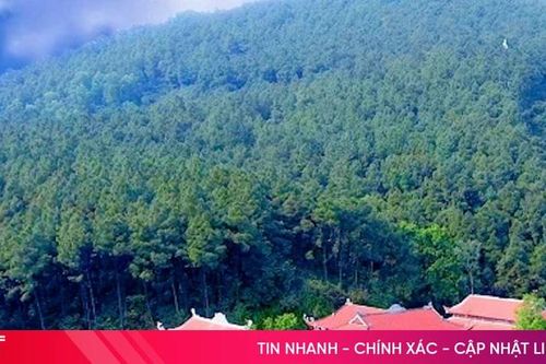Khám phá Kinh đô Ngàn Hống trên dãy Hồng Lĩnh