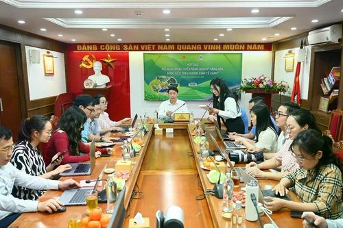 Đưa 'quốc bảo' sâm Lai Châu vươn xa trên bản đồ dược liệu quốc tế