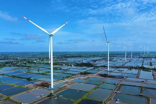 Cà Mau: Tạo hành lang pháp lý để doanh nghiệp tư nhân tham gia xuất khẩu điện