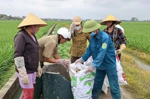 Nông dân chung tay bảo vệ môi trường 'Sáng - xanh - sạch - đẹp'