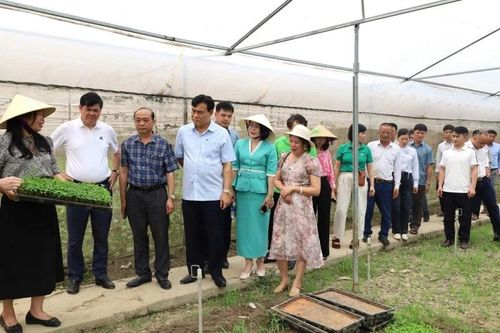 Hội Nông dân tỉnh Thái Nguyên tham quan, học tập kinh nghiệm tại tỉnh Thanh Hóa