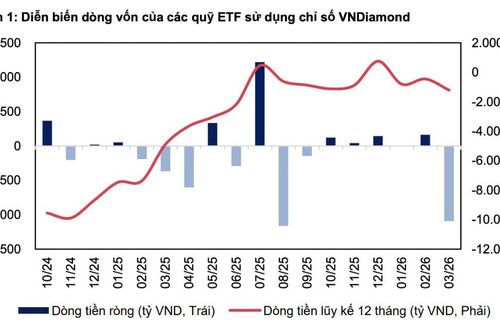 Ba cổ phiếu trong rổ VNDiamond được các quỹ ETF hơn 12 nghìn tỷ sắp mua nhiều nhất