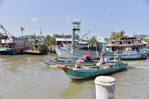 Nghề đánh bắt hải sản ở Vân Khánh, Tân Thạnh