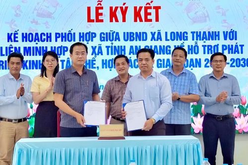 Xã Long Thạnh định hướng phát triển kinh tế tập thể năm 2026