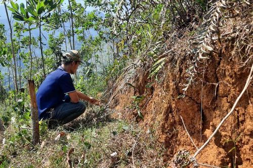 Sớm di dời các hộ dân vùng nguy cơ sạt lở