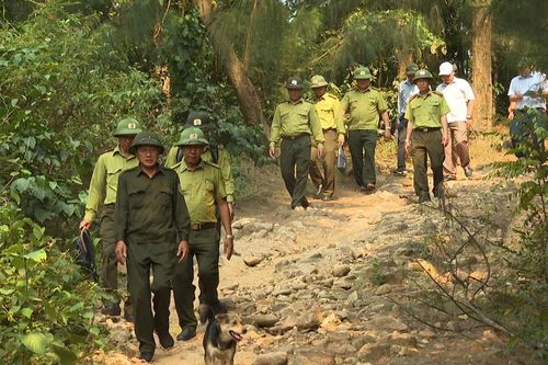 Kiểm tra công tác phòng cháy, chữa cháy rừng khu vực Nam đèo Hải Vân