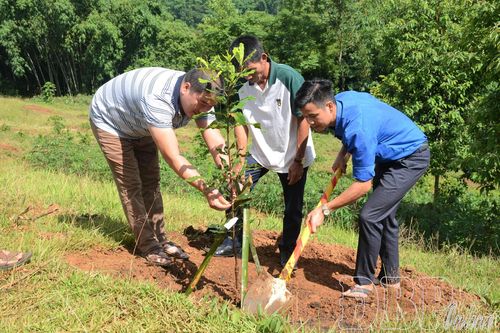 Thu hút đầu tư phát triển nông nghiệp