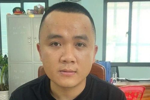 Gia Lai: Khởi tố nhóm 5 đối tượng sử dụng xe bán tải để trộm gỗ