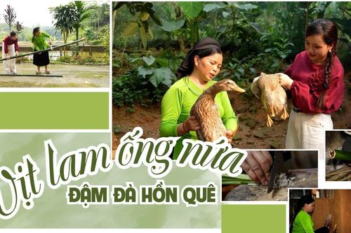 Vịt lam ống nứa đậm đà hồn quê