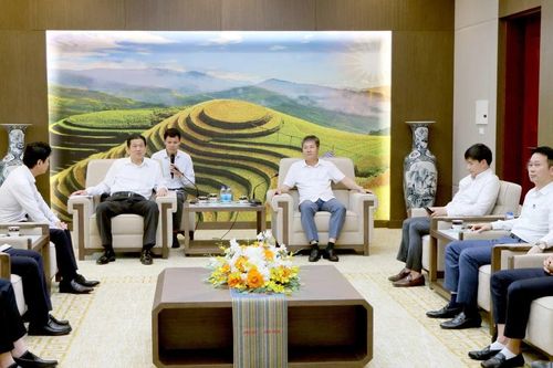 Phó Chủ tịch Thường trực UBND tỉnh Ngô Hạnh Phúc tiếp Đoàn công tác Tập đoàn Dược phẩm Nippon Zoki Nhật