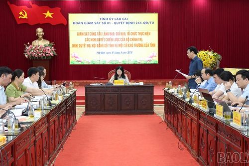 Đoàn giám sát số 01 của Tỉnh ủy làm việc tại xã Yên Bình