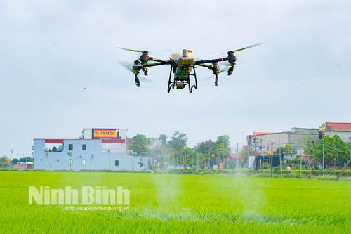 Xã Yên Mô ra mắt Tổ hợp tác dịch vụ máy bay không người lái phun thuốc bảo vệ thực vật
