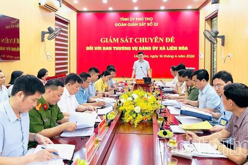 Giám sát chuyên đề đối với Ban Thường vụ Đảng ủy xã Liên Hòa