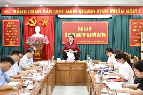 Giám sát Đảng ủy Sở Dân tộc và Tôn giáo về triển khai Nghị quyết Đại hội XIV của Đảng