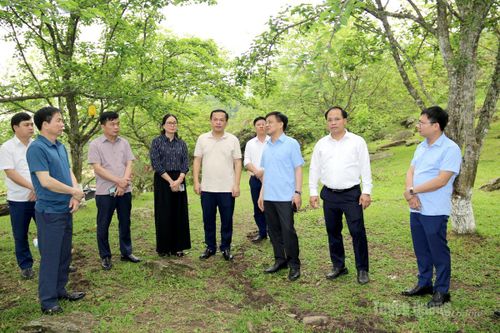 Chủ nhiệm Ủy ban Kiểm tra Tỉnh ủy Nguyễn Hưng Vượng thăm, khảo sát mô hình phát triển du lịch cộng đồng tại xã Hồng Thái