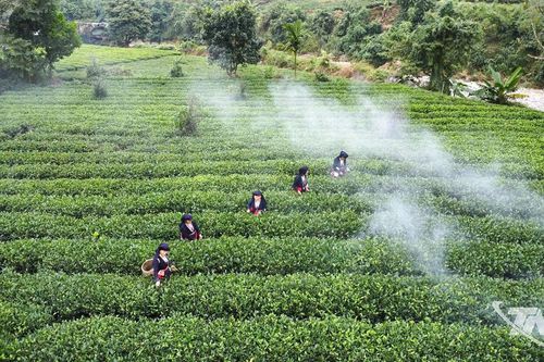 La Bằng vào mùa du lịch mới