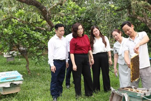 Giám sát chuyên đề tại Đảng ủy phường Phúc Thuận