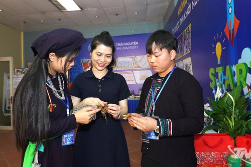 10 dự án vào chung kết Cuộc thi Khởi nghiệp sinh viên Đại học Thái Nguyên năm 2026